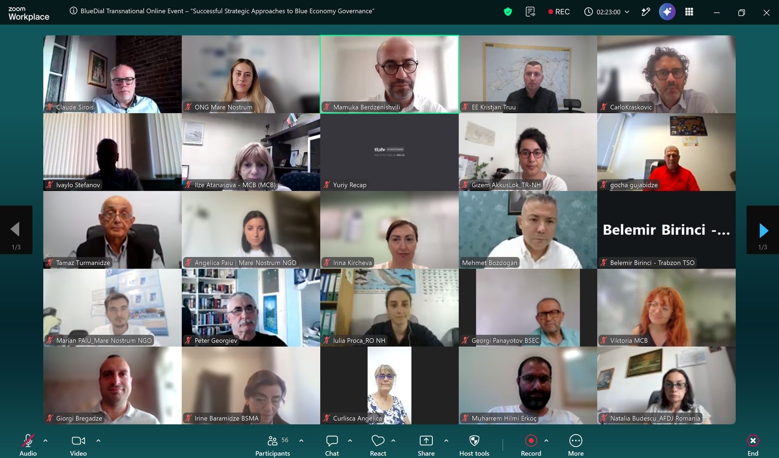 Participants of the BlueDial online transnational event on Zoom